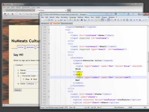 CSS Form