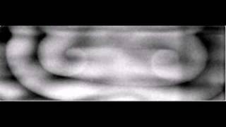 Scroll Ring in the BZ Reaction Viewed Quickly from all Sides