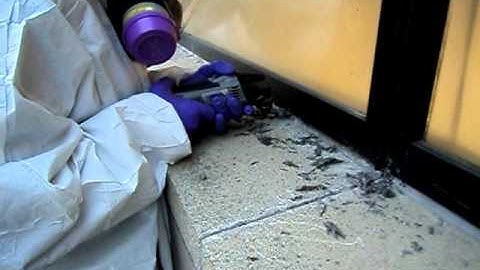 Triumvirate PCB testing and remediation