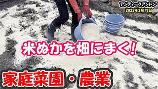 【家庭菜園】おばあちゃん家の畑開墾　大量の米ぬかを畑に！【温州みかん】【宮川早生】【乳酸菌】【精米所】