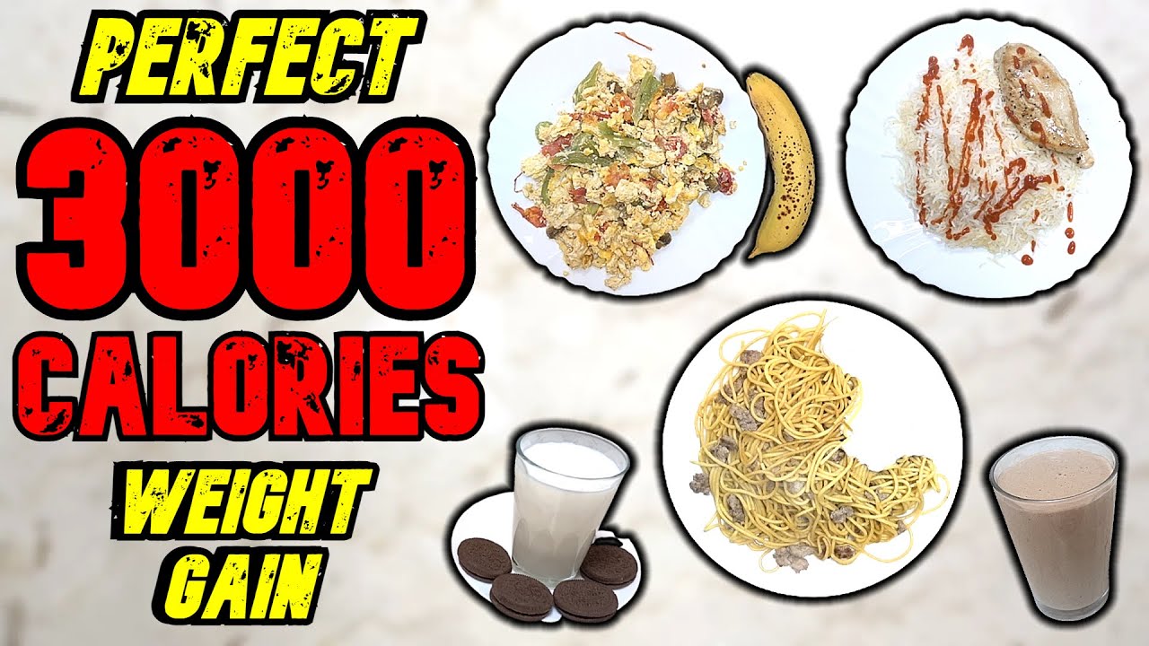 3000 Calorie Meal Plan For Weight Gain