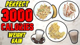 The PERFECT 3000 Calorie Meal Plan For WEIGHT GAIN