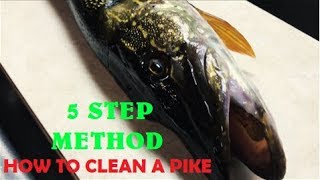 How To Clean A Northern Pike (Boneless!!)