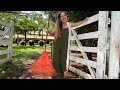 LUXO DE MORAR NA ROÇA ♥️ Galinhas, ovos, paz… ESSE É TEU DESEJO? ASSISTA ATÉ O FIM ????VALE
