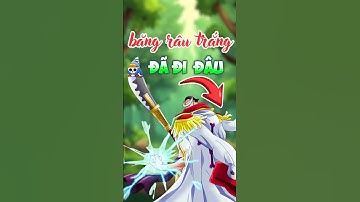 Tàn dư của băng Râu Trắng đã đi đâu sau khi tan rã #anime #onepiece #luffy #rautrang