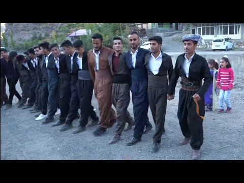 kurdish wedding- new şexani şiyar berwari sofi isa halay başında