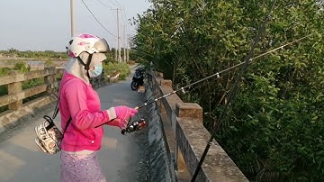 Giới thiệu điểm Câu cá tại cần giờ /cầu an nghĩa.. cá chốt. cá ngát, cá út và có tôm