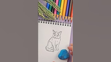 How To Draw FLUFFY Animals #art #drawingtutorial #howtodraw #drawing #tutorial #pencildrawing