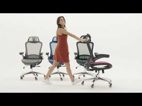 Nouhaus Ergonomic Office Chair // ErgoFlip // Silver Gray (Black Coffee) video thumbnail