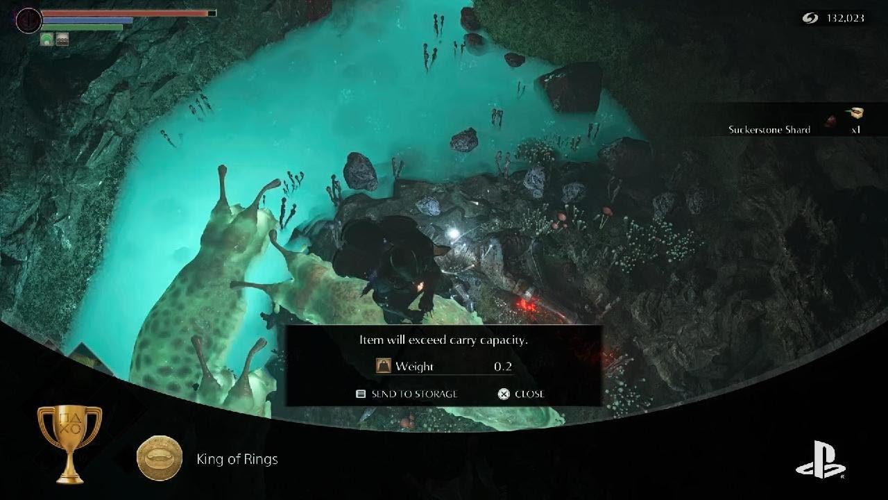 Demon's Souls King of Rings trophy