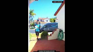 Amazon driver accidentally throws package on roof when attacked by bug