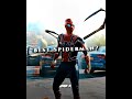 SPIDERMAN EDIT