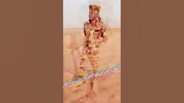 ا اغاني تاما الفنان محمد سناري ٣٦٦ 