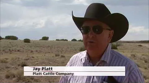 3 minutes with R-CALF USA Director Jay Platt on NA...