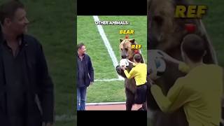 Other Animals vs Football + Him ☠️