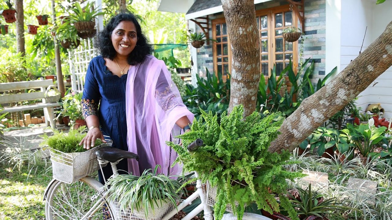 വീടും മുറ്റവും നിറയെ ചെടികൾ ! ജെൻസി ടീച്ചറുടെ ഐഡിയ