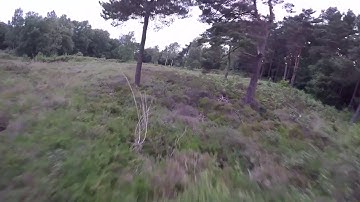 RAW FLIGHT, ZMR X210mm, spracing f3, betaflight 2.8.1 test