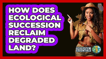 How Does Ecological Succession Reclaim Degraded Land? - Ecosystem Essentials