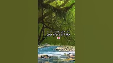 القران الكريم ( سورة نوح ) 🥀 بصوت الشيخ ياسر الدوسري 🎀