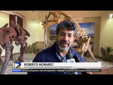 MUSEOS PREPARAN EXPOSICIÓN EN EL CAMPUS UNIVERSITARIOS