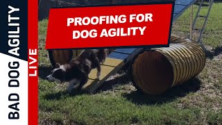 Proofing for Dog Agility