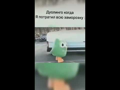 #дуолинго#Duolingo#Shorts#мем#приколы#мемы#ржака - YouTube