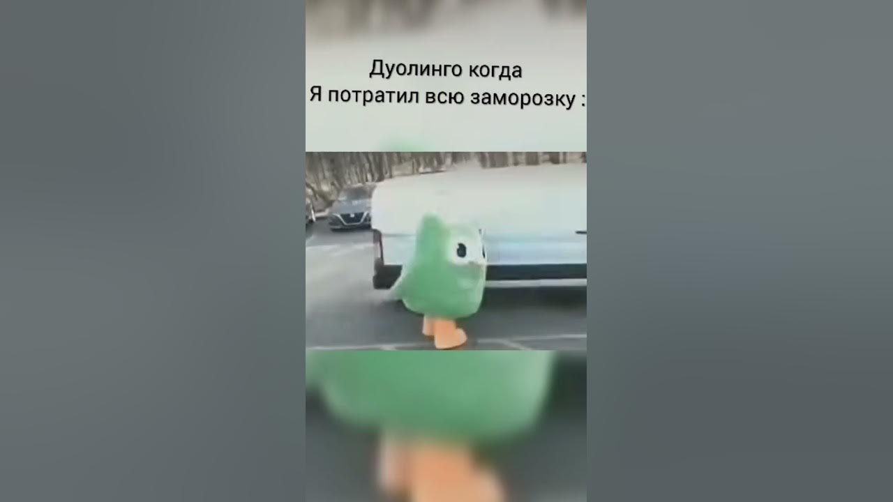 #дуолинго#Duolingo#Shorts#мем#приколы#мемы#ржака - YouTube
