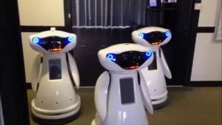 Celebrity Adaptive Multi-Robot Patrolling Net Worth