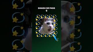 Oew Kitty Aaaaaaaaaaaaaa Aaaaaaaaaaaaaaaaaaaaaaaaaaaaaaaaaaaa Aaaaaaaaaaaaaaaaaaaaaaaaaaaaaaaaaaaa A