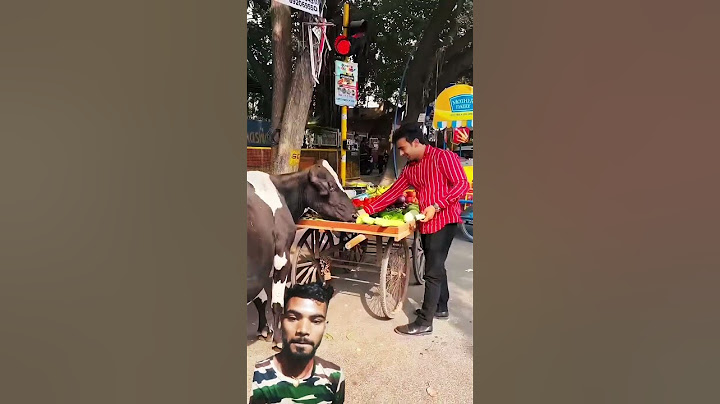 अंकल का सब्ज़ी गाय माता खा गई😱🥲#shorts #love #funny #food #vlog #comedy #song #music #viralvideo