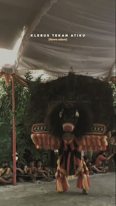 Story Wa 30dtk (Kesenian tradisional reog ponorogo jawa timur)