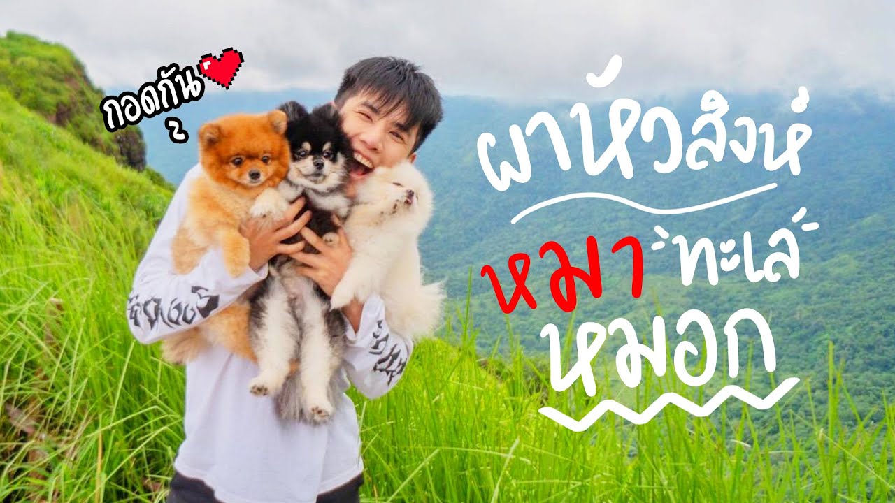 พาลูกๆขึ้นเขา เฝ้ารอทะเลหมอก ณ ภูทับเบิก l ก็ผมมีลูกเป็นหมา EP.139