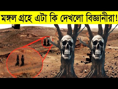 ভিডিও: Nlp এর কয়টি উপাদান আছে?