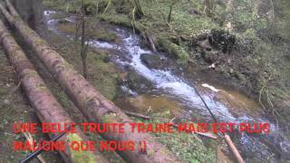 Pêche de la truite au toc dans un ruisseau de haute-loire