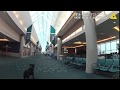 Daytona Beach International Airport incident 5/11/18