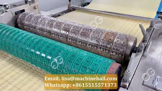 Biscuit Production Line - Whole Manufacturing Process