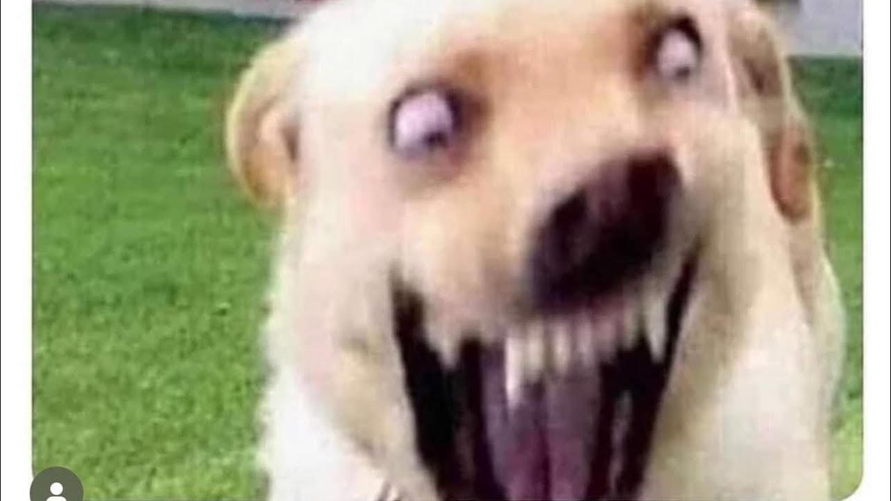 R6 EDGING COMPILATION 🫣.