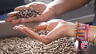 Somerville, Mass., coffee shops offers flavors of Rwanda
