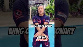 Wing Chun Dictionary | Gan Sao (Splitting Hand)