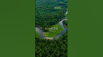 افلا ينظرون الى الابل كيف خلقت #تلاوة_خاشعة #اكسبلور #قرآن