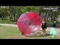 カラフルなビニール傘の巨大ボール　淡路市の新フォトスポット