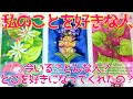 【恋愛】タロット⁂今私のことを好きな人はいますか？⁂どんな人？⁂どこを好きになってくれたの？⁂ペンジュラムボード+アストロダイス⁂3択⁂