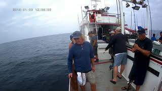 Yellowfin on the El Dorado