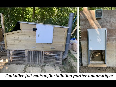 Poulailler fait maison ? Installation d’un portier automatique solaire ☀️