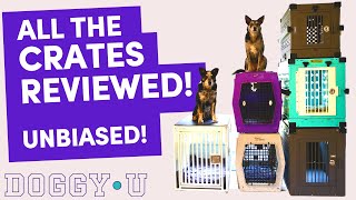 Which Dog CRATE is Right For Me? (and WHY crate at all?) Ruffland, Impact Crate Review & More!