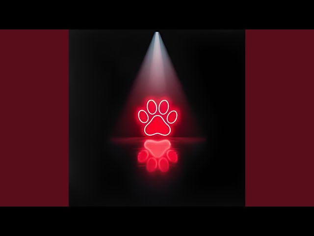 KITTY BOUNCE