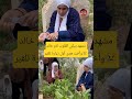 أول زيارة للقبر لحظة وداع خالد وأثر الأم والأخت ترند 