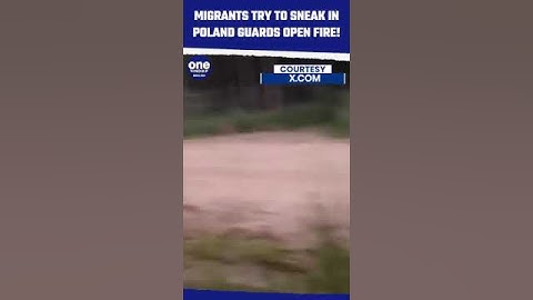 Polish Border Guards Open Fire on Migrants Attempting to Cross From Belarus | Oneindia News