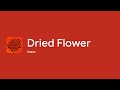 [Lyrics] Dried Flower - Off Main Vocal / imase