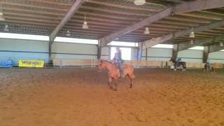 Zz Lil Doc Star 3Yo